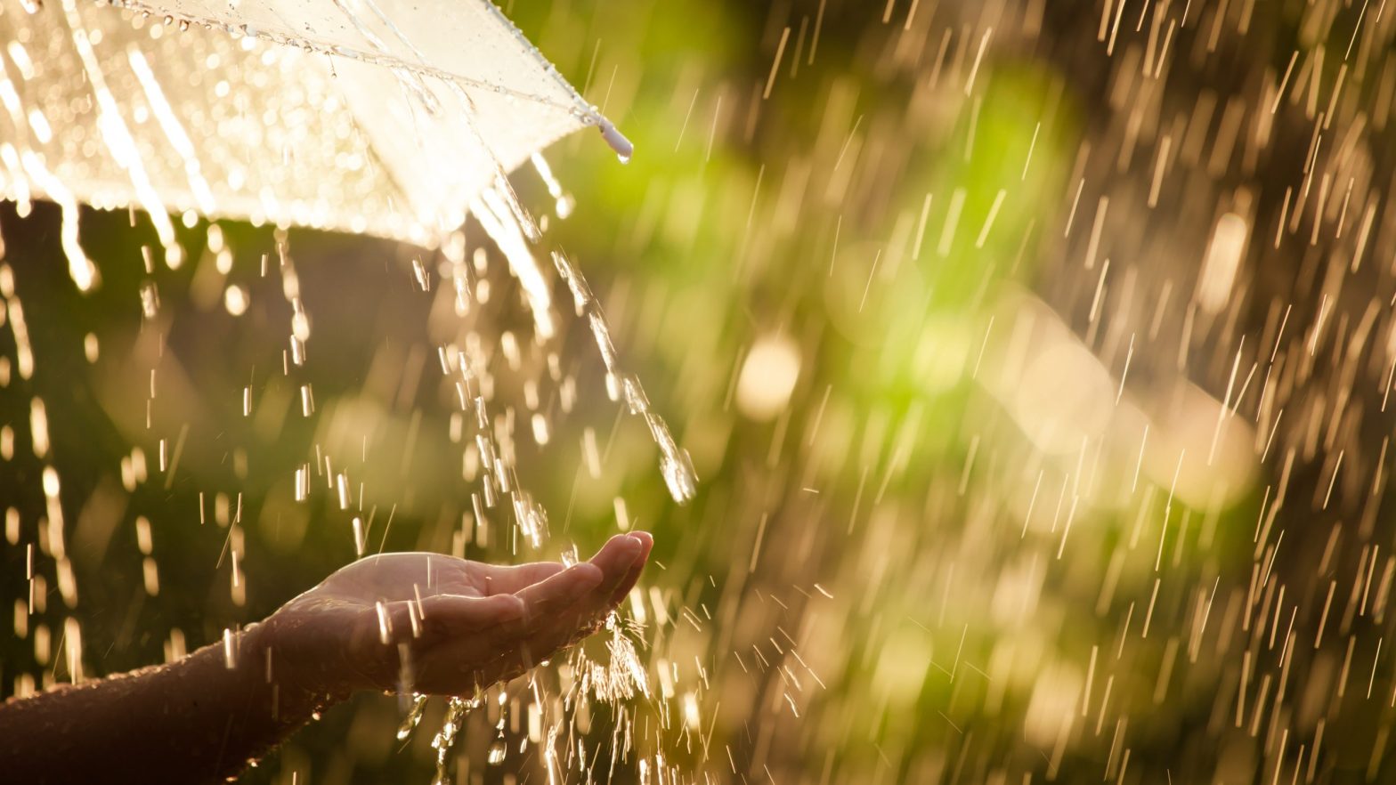 https://echo.santulan.in/wp-content/uploads/2022/06/Heal-Yourself-Monsoon-Care-shutterstock_652028218-scaled-e1654348905270-1568x882.jpg